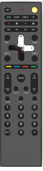VIZIO VUR12 TV Remote